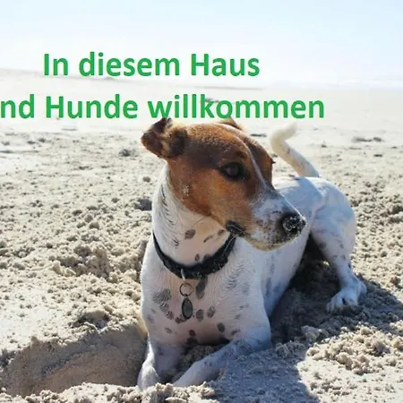 Camping Regenbogen *