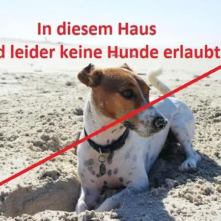 Regenbogen Camping *